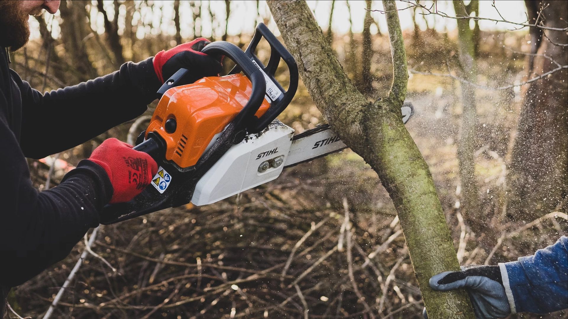 Arboriculture health and safety